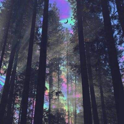 欧博手机版app下载安装