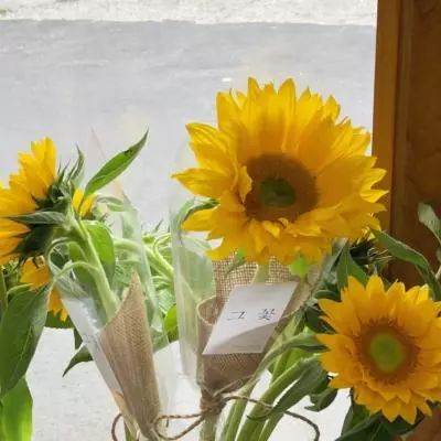 开yun体育官网入口登录苹果截图